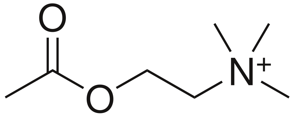 Acetylcholine