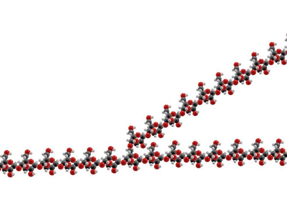 Glycogen