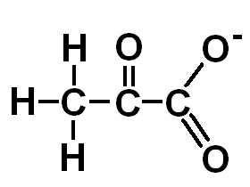 Pyruvate