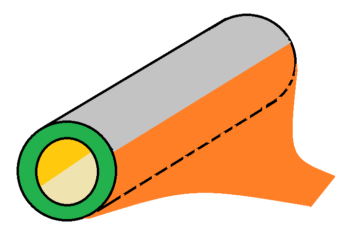 Schematic diagram of a generic tubular hollow organ