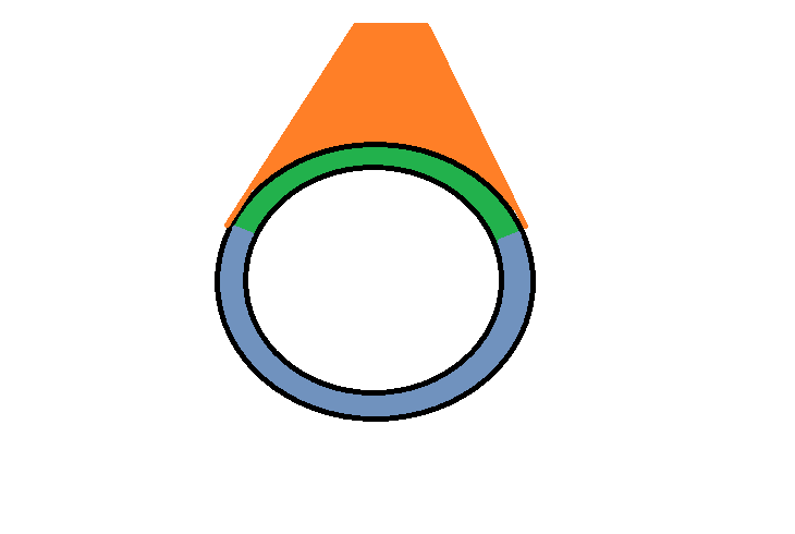 Schematic diagram of a generic bag hollow organ