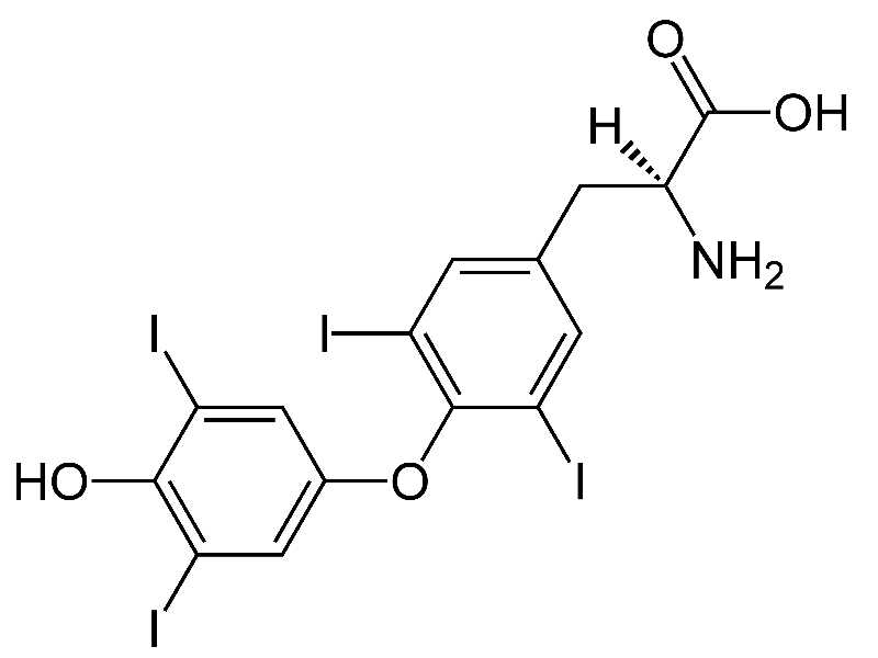 T4 thyroxine