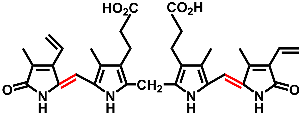 Diagram of bilirubin