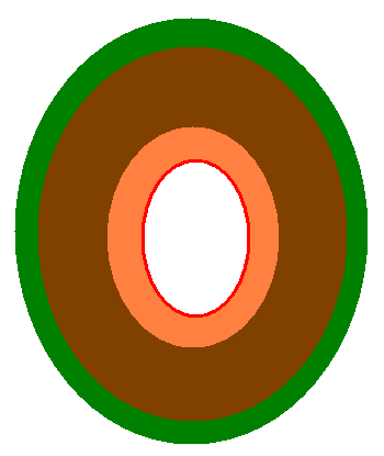 Schematic version of the layers of the oesophagus
