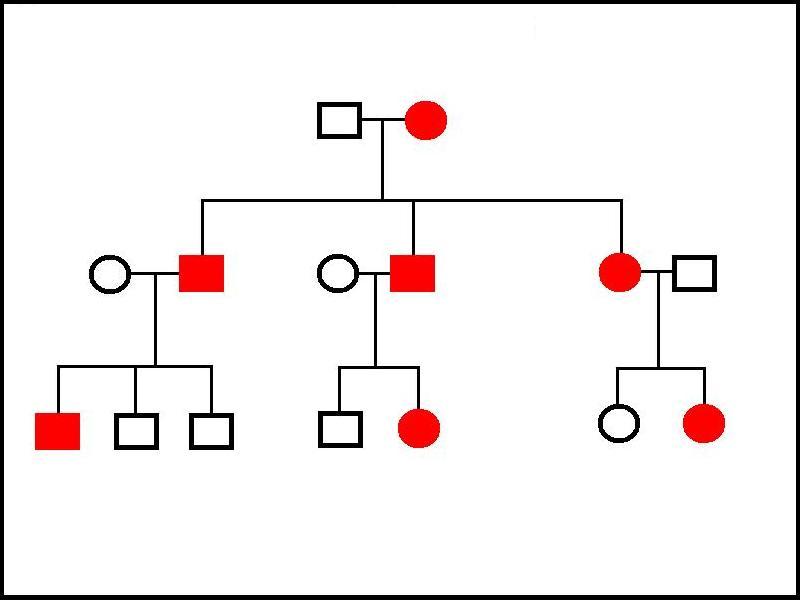 Autosomal dominant family tree
