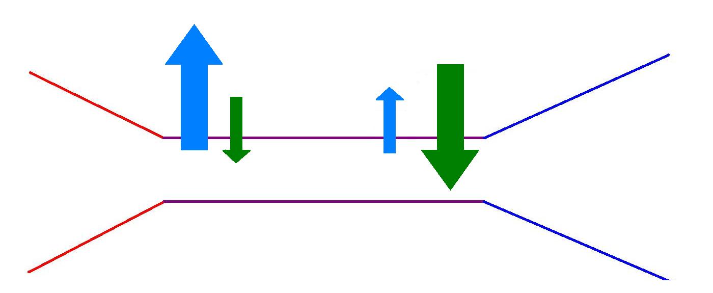 Diagram of hydrostatic and oncotic pressure