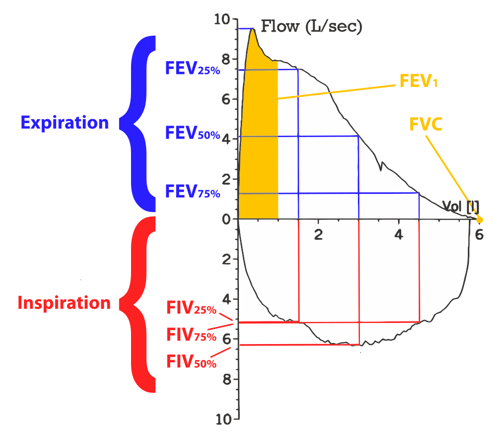 Flow volume loop