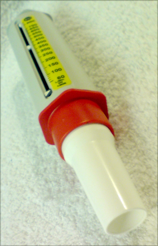 Peak Flow Meter