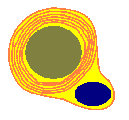 Scwhann cell