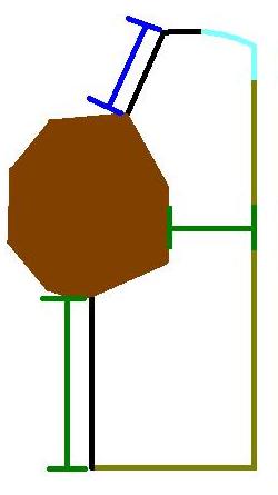 Diagram of a skin wedge